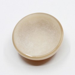 Shank polyester button 