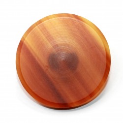 Shank polyester button 
