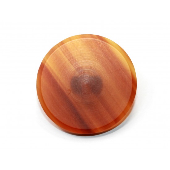 Shank polyester button 