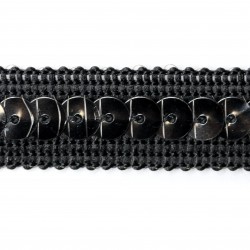 Ribbon with 1 row of sequins